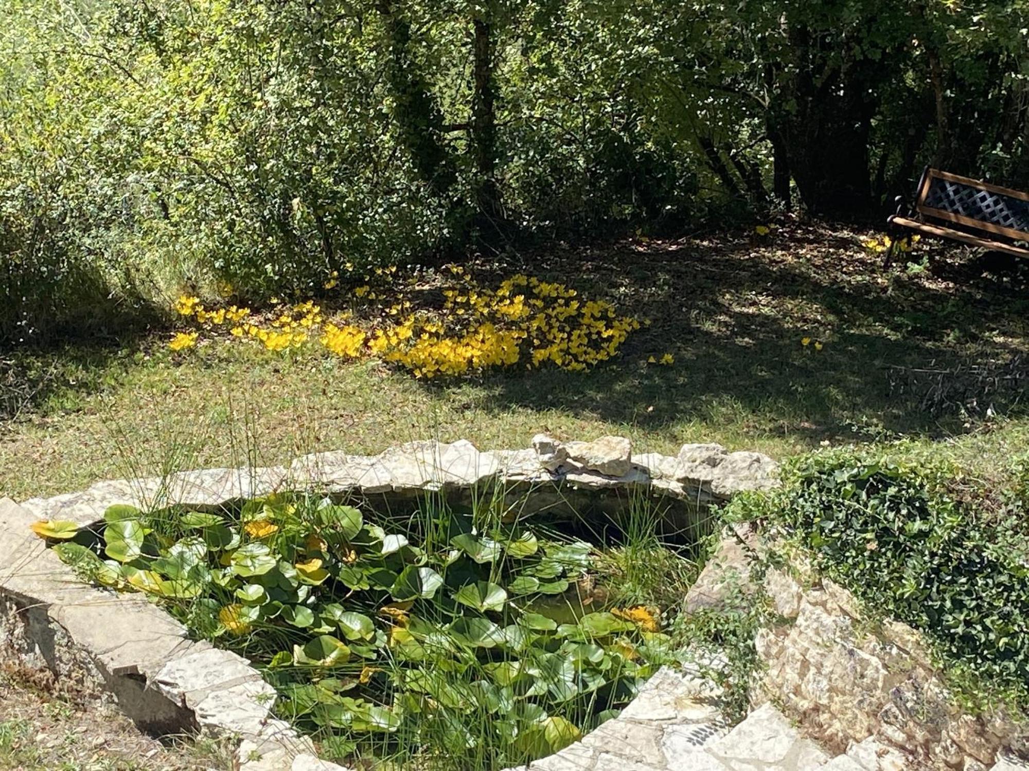 فيلا Le Manoir De St Marcel Saint-Marcel-du-Périgord الغرفة الصورة